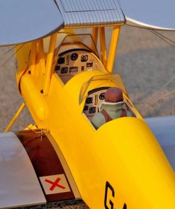 Tiger Moth DH 82 aeromodello elettrico Pichler 15483